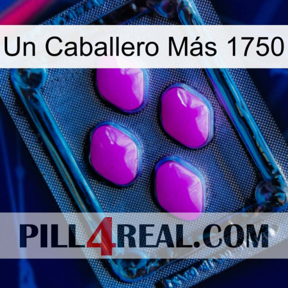 Un Caballero Más 1750 04.jpg